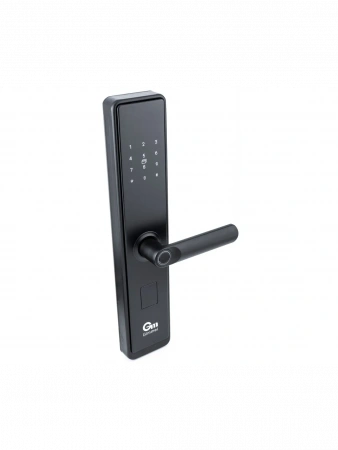 ЭЛЕКТРОННЫЙ ЗАМОК Gimmel F20 DM 70 TTLock 